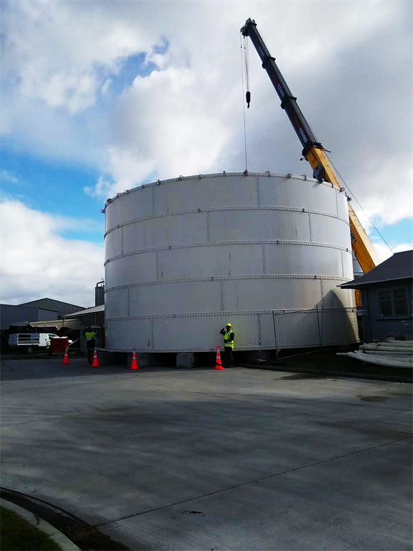 2016年新西兰的2000T的片装筒仓项目 (5)